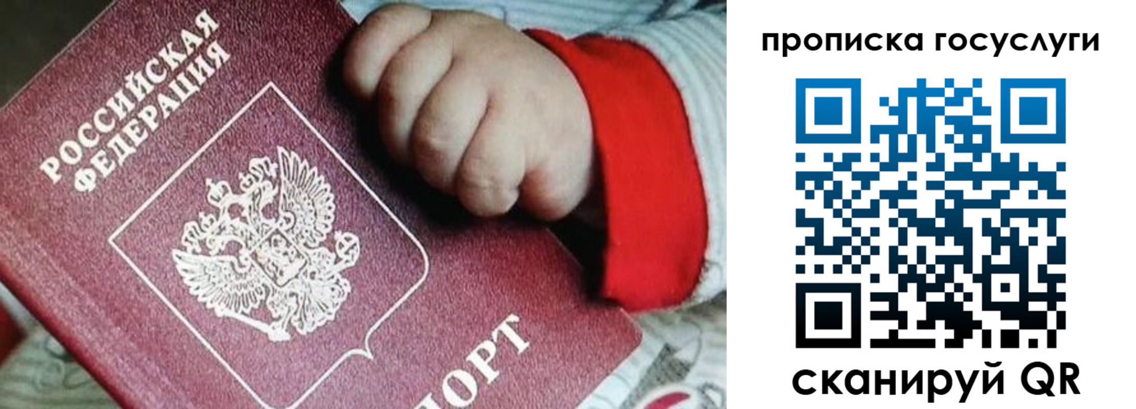 прописка штамп в Белгородской области